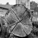 beim alten sägewerk