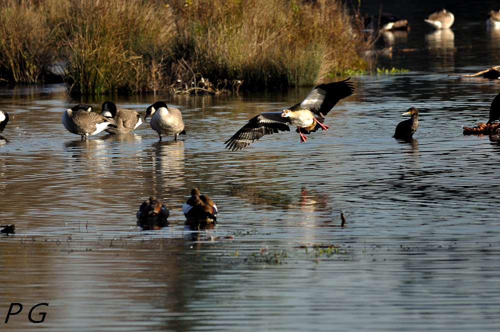 Beim anflug