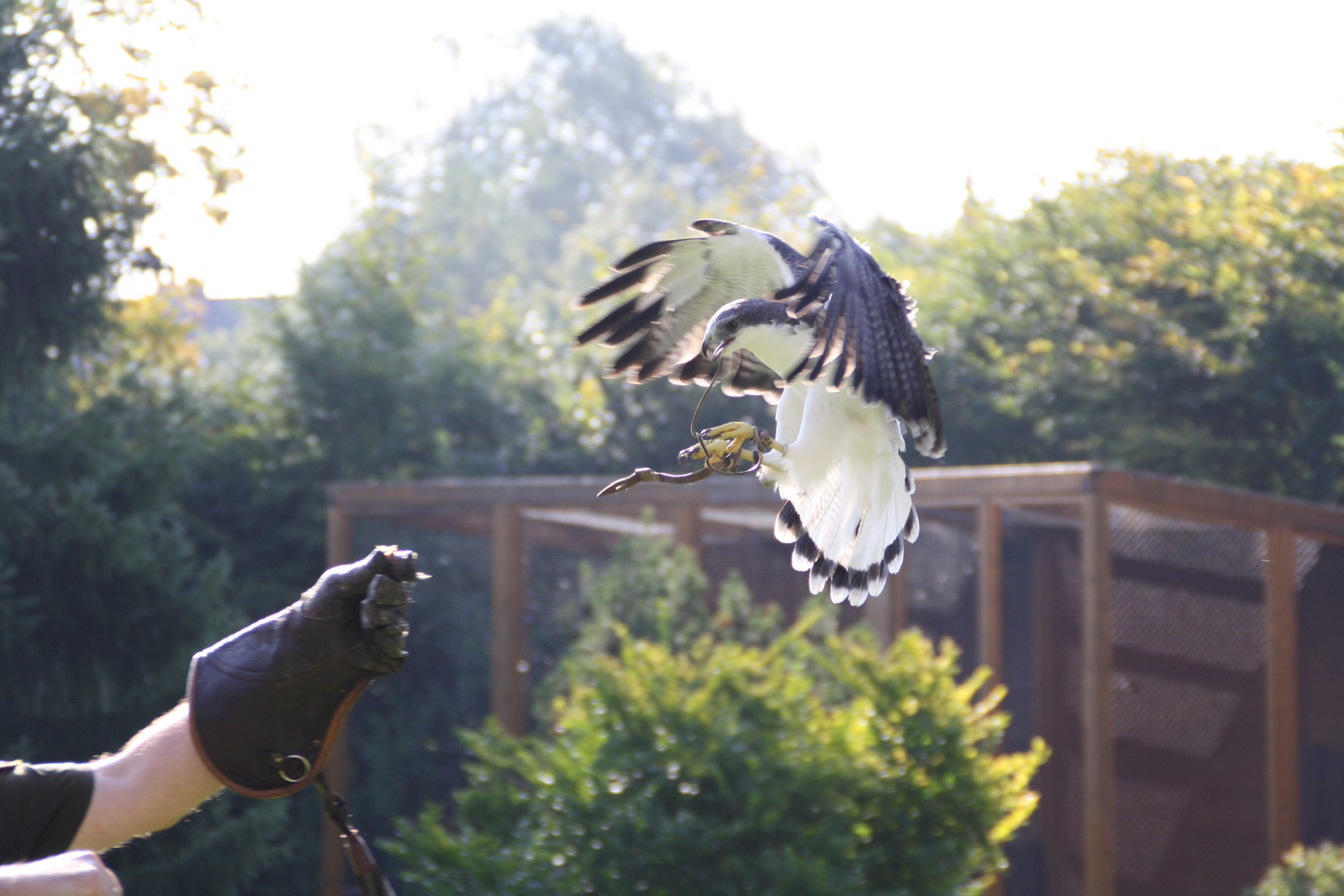 Beim Anflug