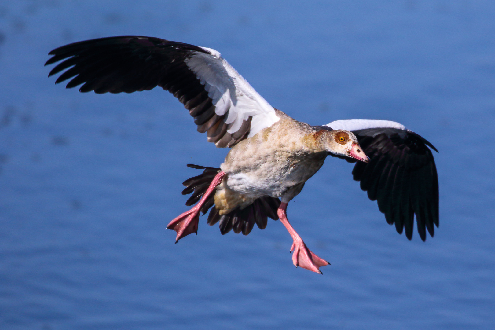 Beim Anflug