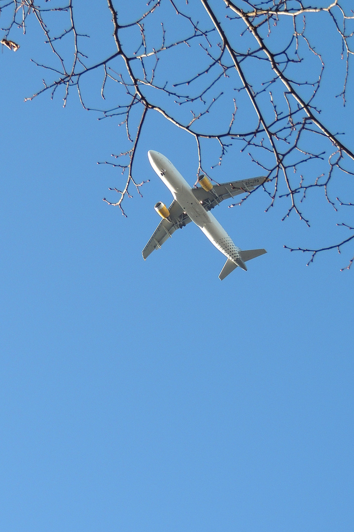 Beim Anflug verheddert