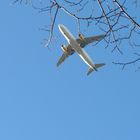 Beim Anflug verheddert