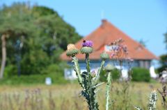 Beim Asta-Nielsen-Haus ?