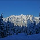 beim Aufstieg zur Birgitzalm, Blick zur Nordkette