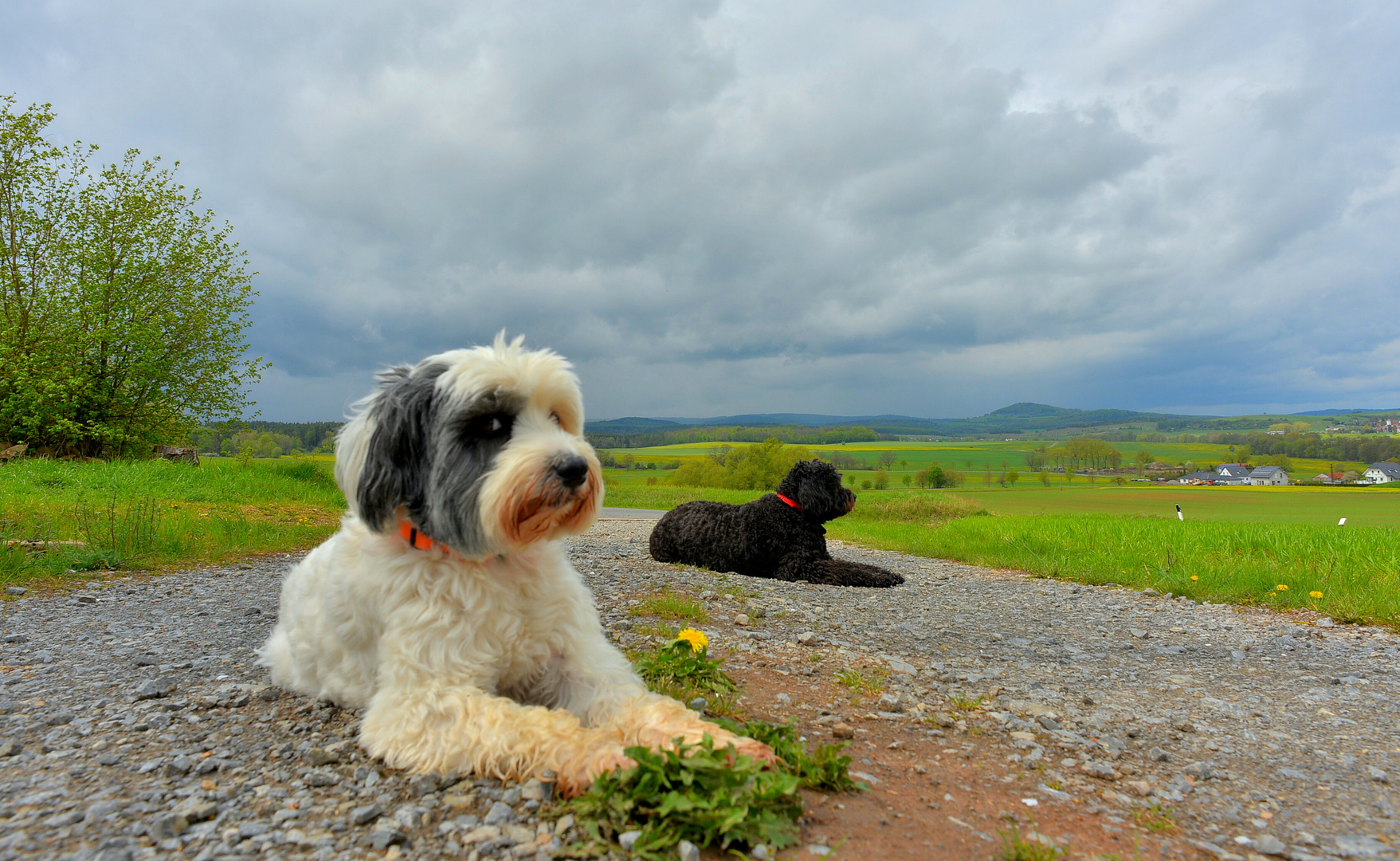 beim Ausruhen (descansando)