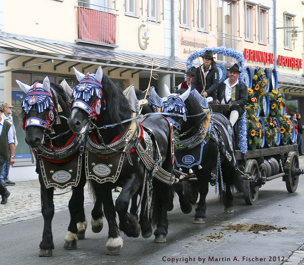 ... beim Auszug zum Grenzlandfest