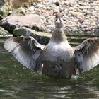 Beim Baden