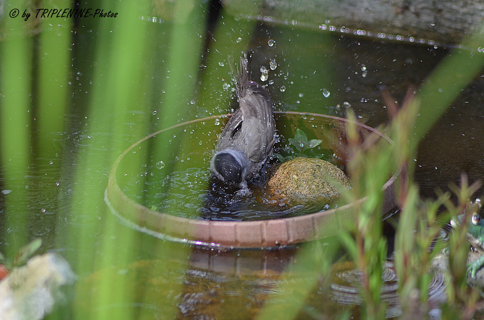 Beim Baden