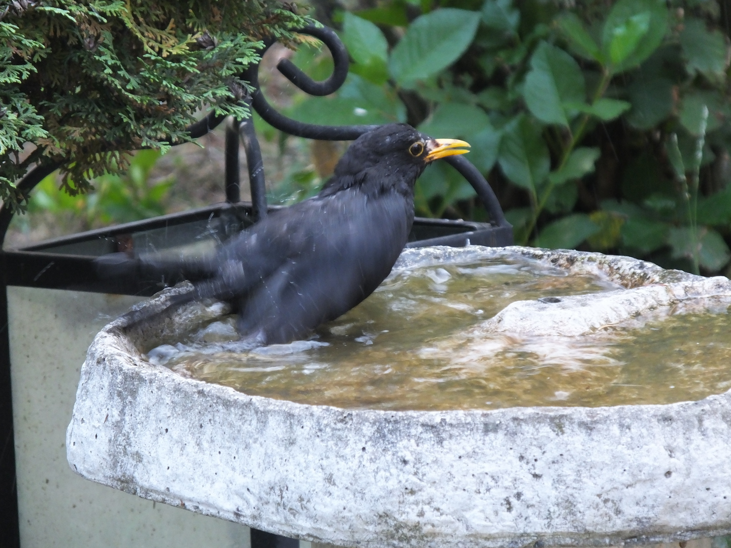 Beim Baden 1