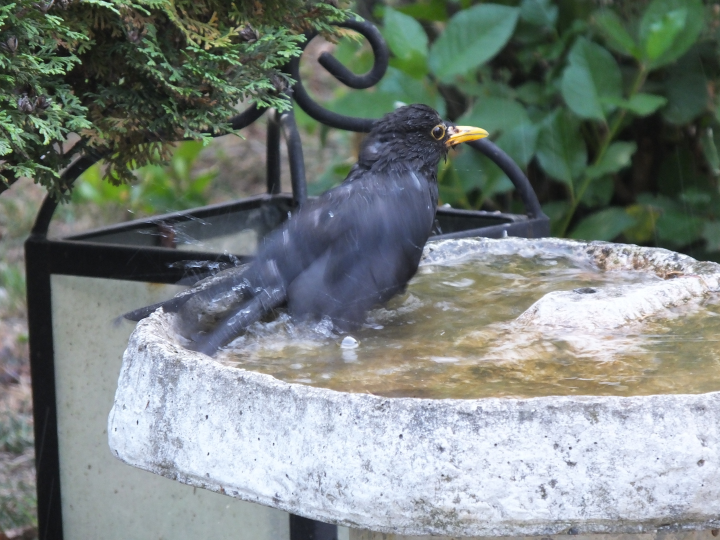 Beim Baden 2