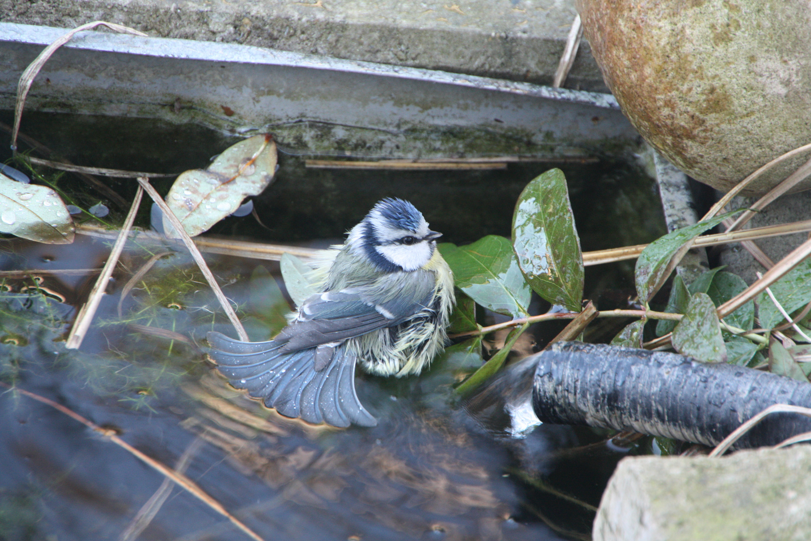 Beim baden