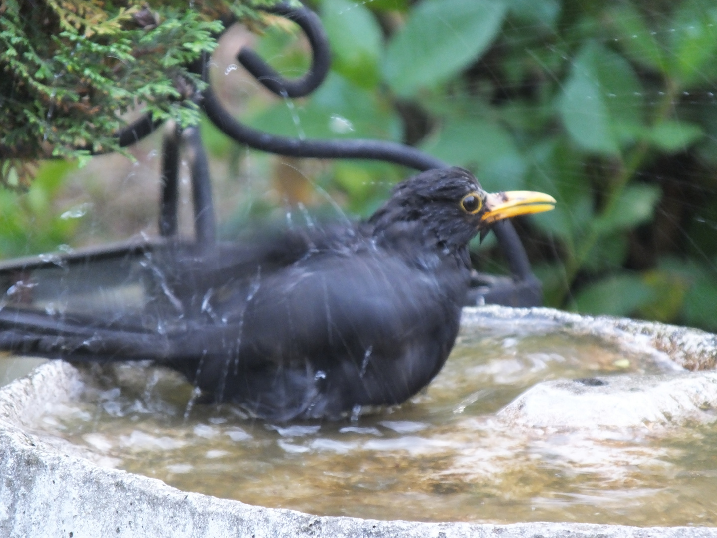 Beim Baden 3