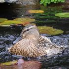 Beim Baden