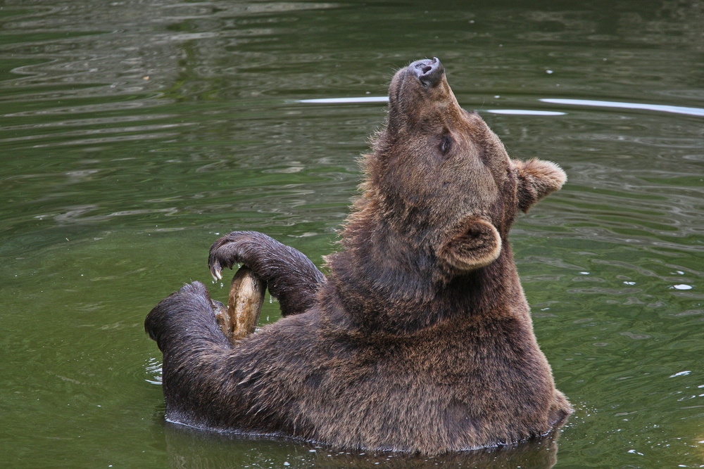 beim Baden