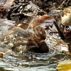 beim baden