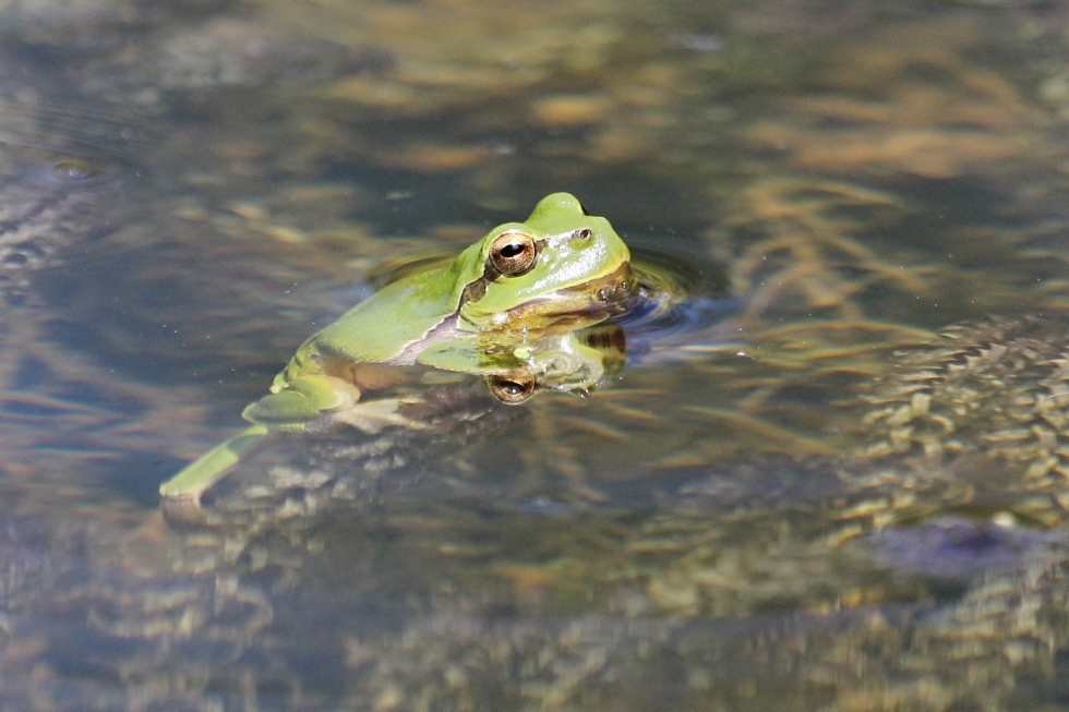 Beim Baden