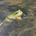 Beim Baden