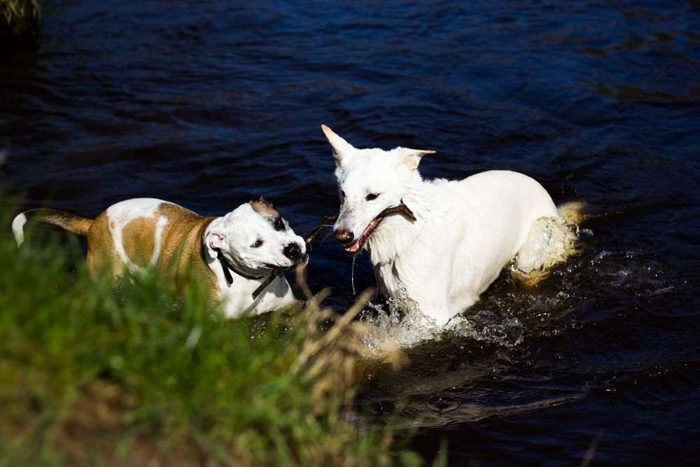 beim baden....