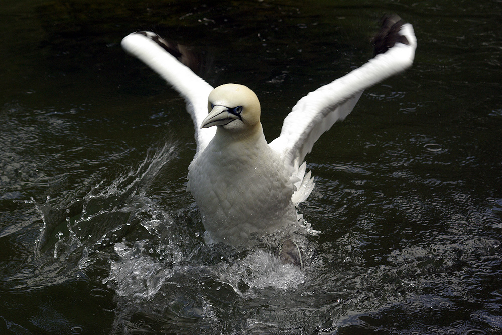 Beim Baden