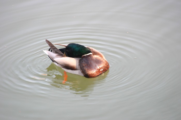 Beim baden erwischt