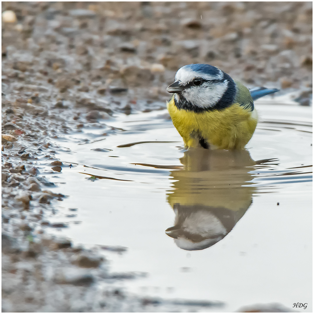 Beim baden habe ...