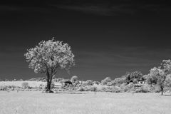 Beim Ballyvackey Stone Circle 