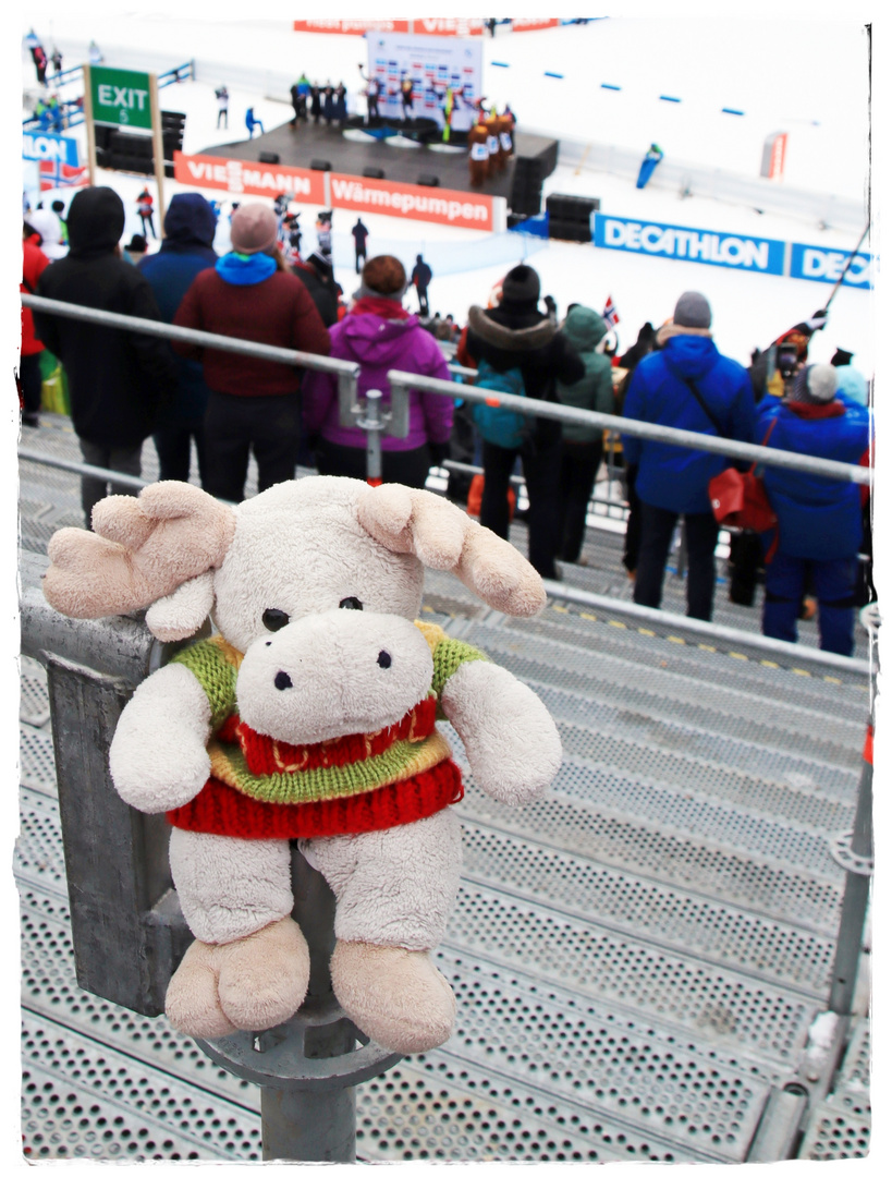 beim Biathlon