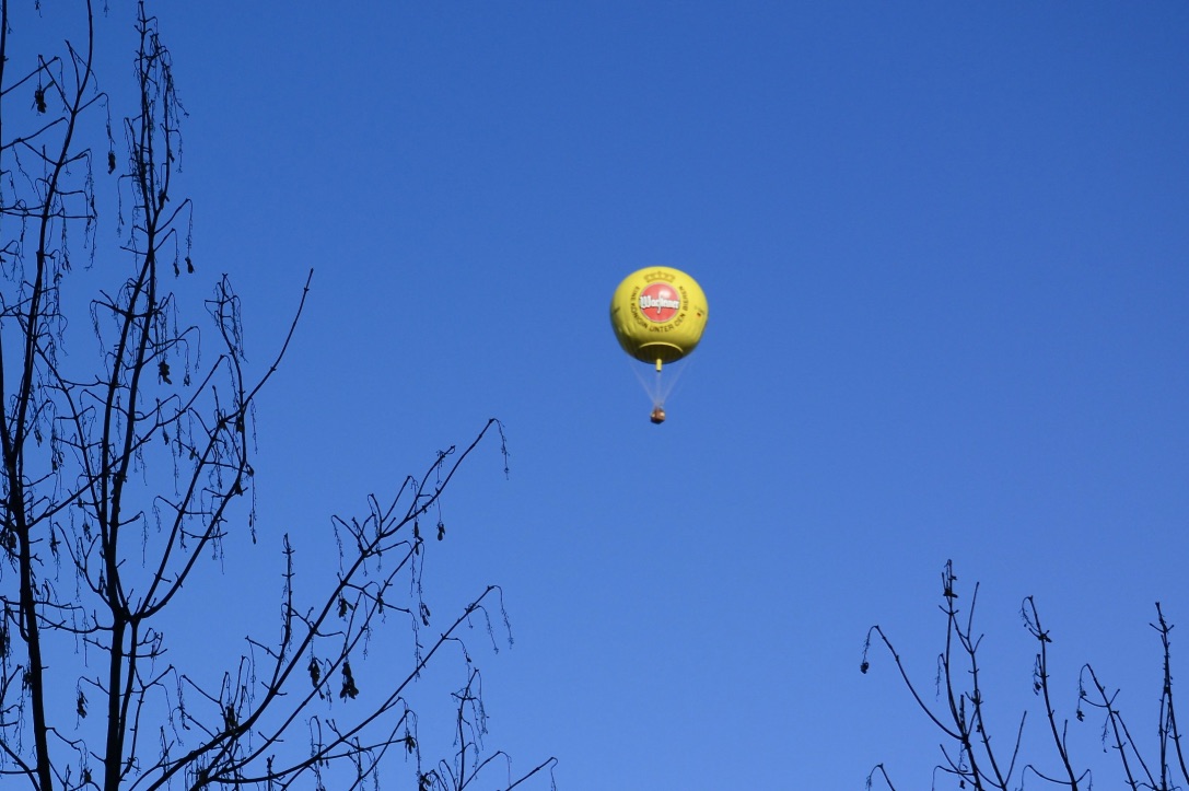 Beim Blick aus dem Fenster…