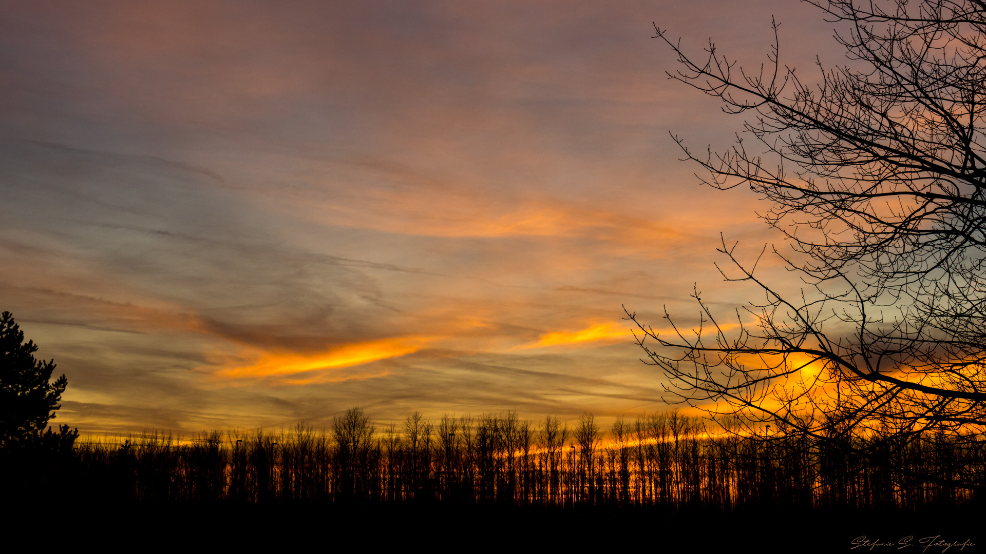 beim Blick aus dem Fenster