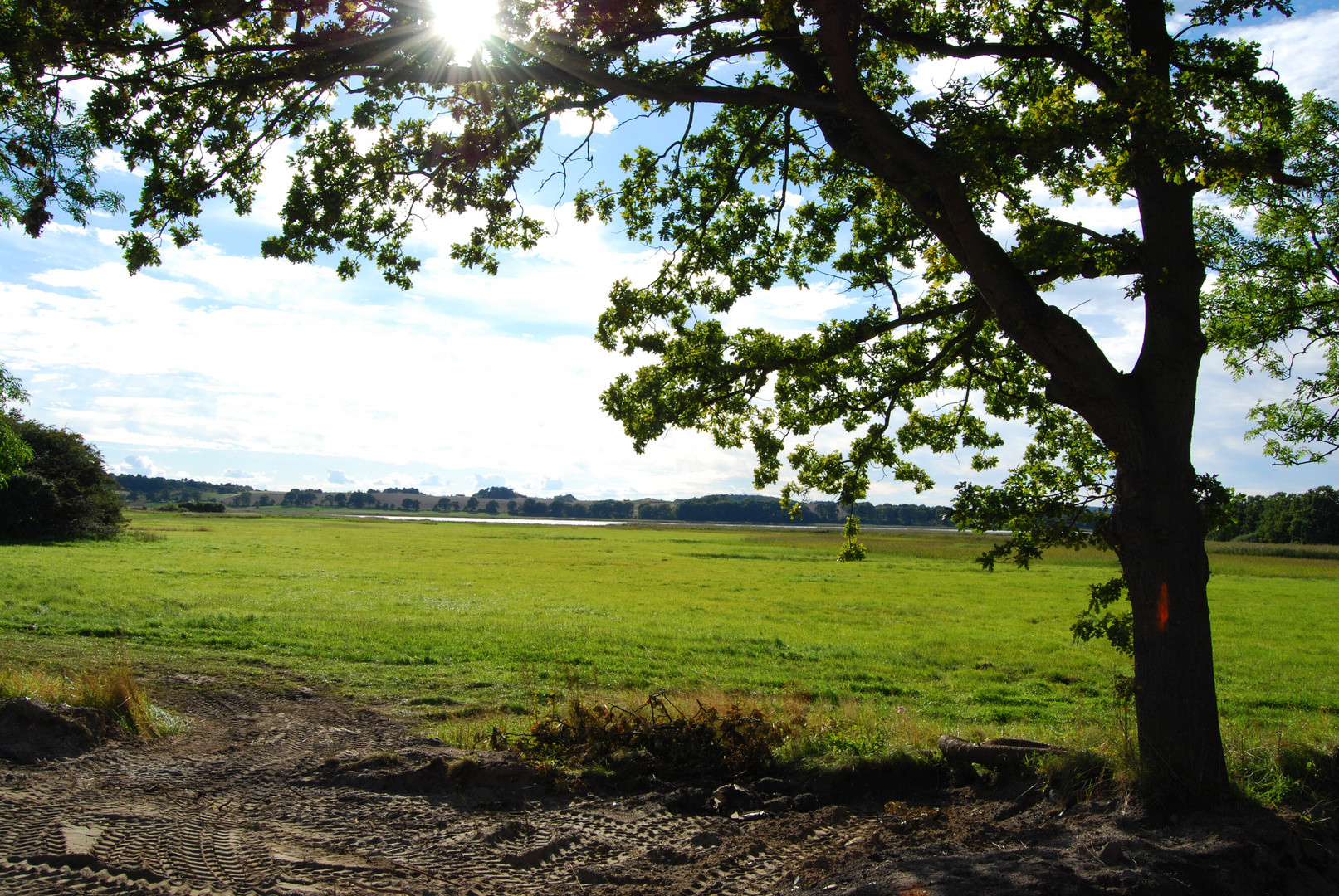 Beim Blick aus dem rasenden Roland gesehen und festgehalten :o)