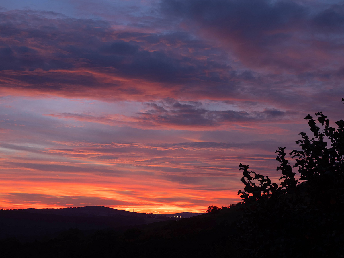 Beim Blick aus unserem Fenster..