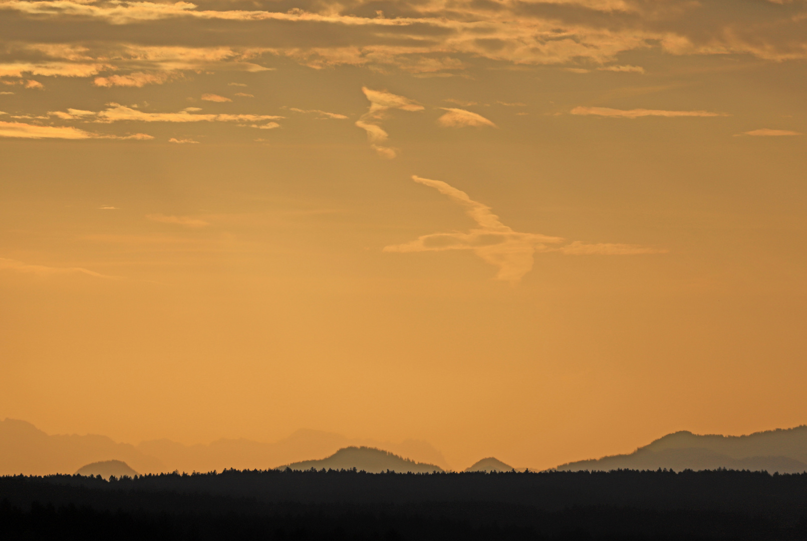 Beim Blick in den Himmel...