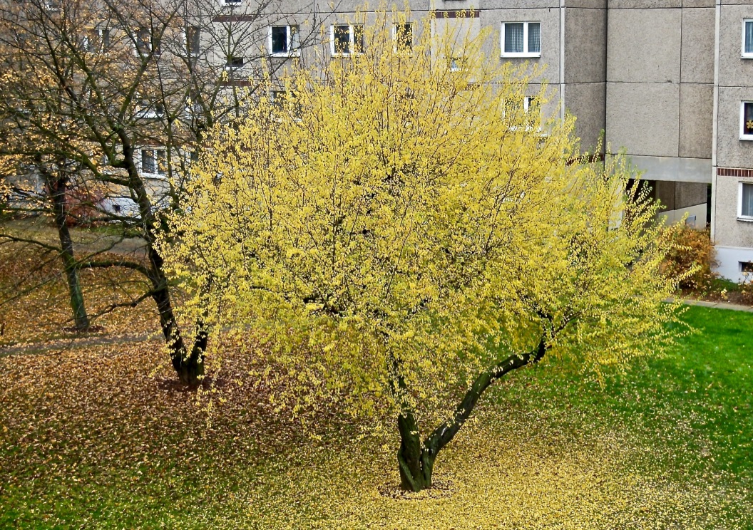 Beim Blick von meinem Balkon …