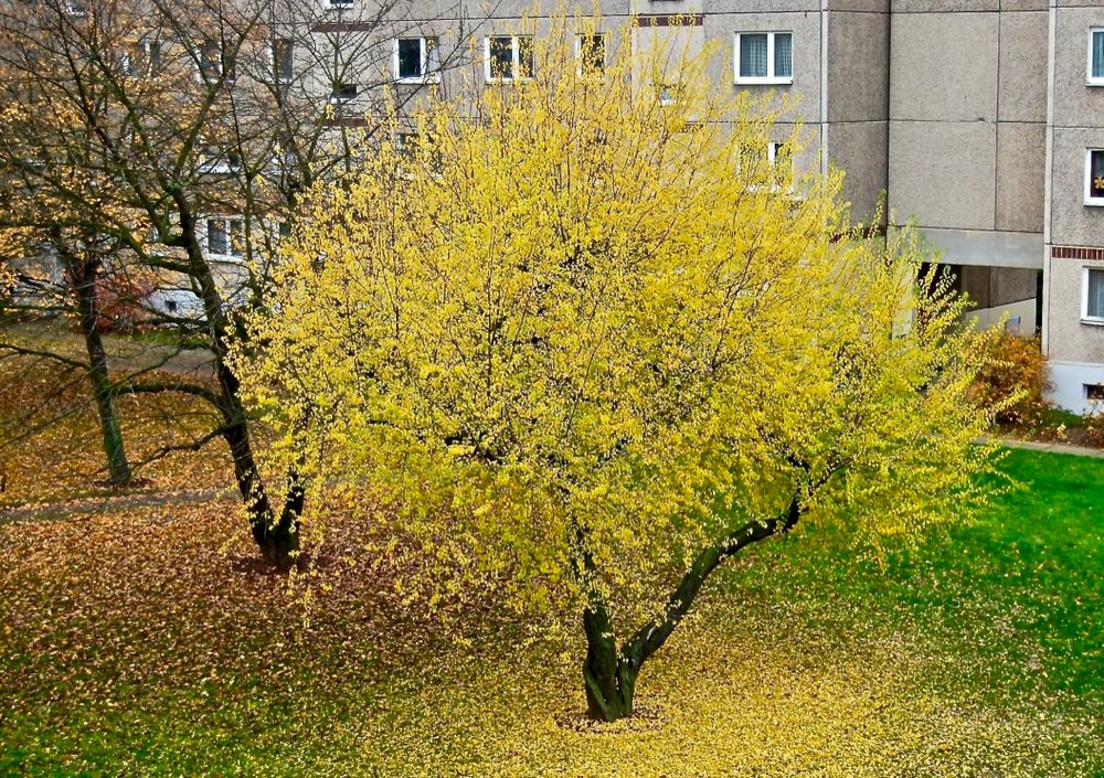 Beim Blick von meinem Balkon …