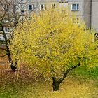 Beim Blick von meinem Balkon …