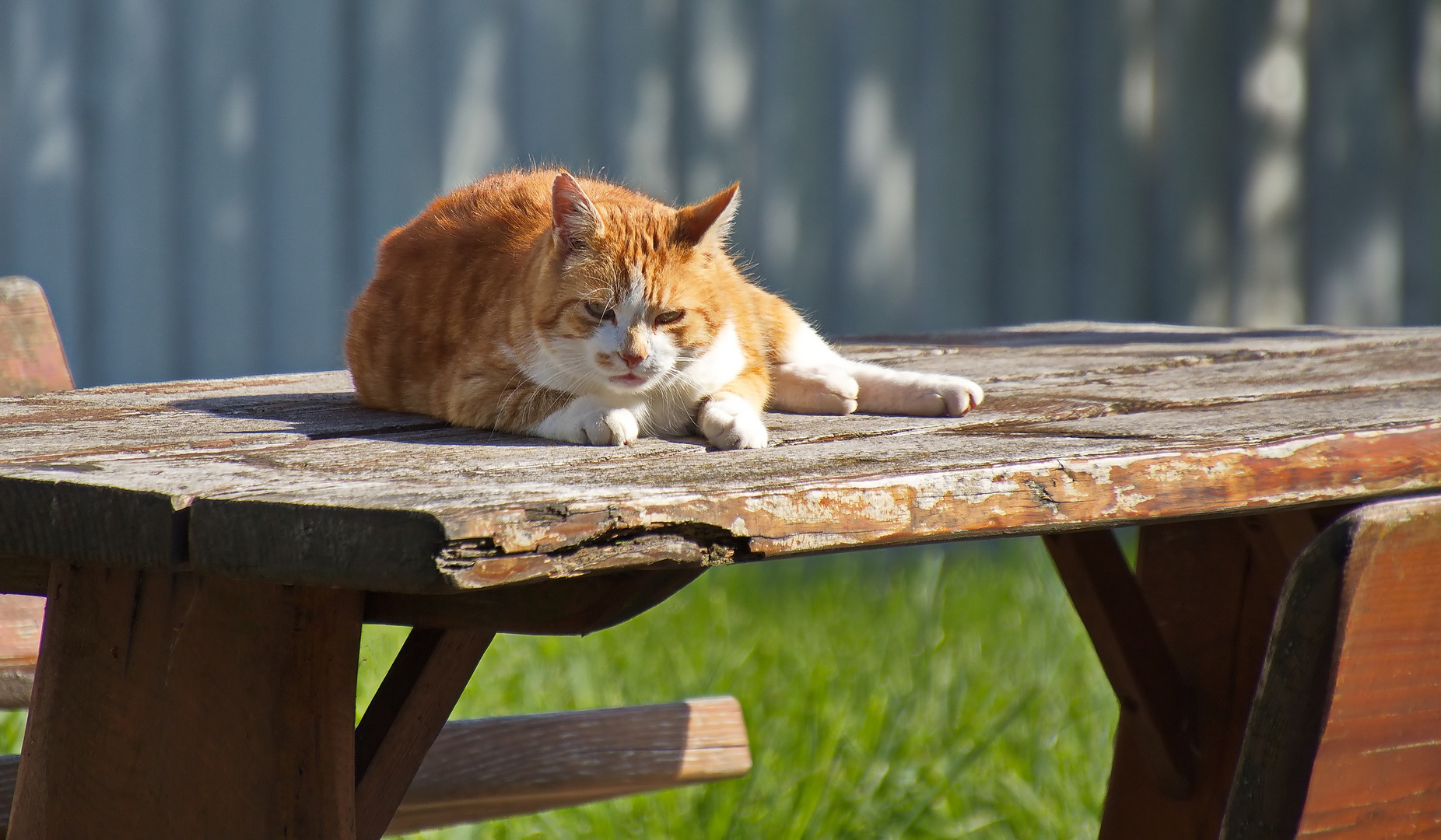 Beim chillen gestört worden......