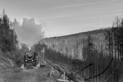 Beim Eckerloch mit Blick zum Brocken, 99 7240-7