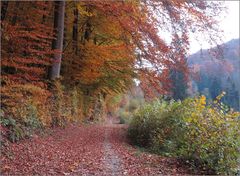 beim Egelsee