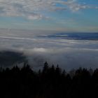 Beim Eindunkeln mit Blick auf den Schwarzwald