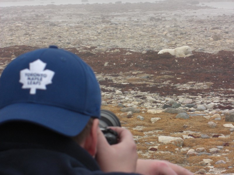Beim Eisbären fotographieren in Churchill Manitoba