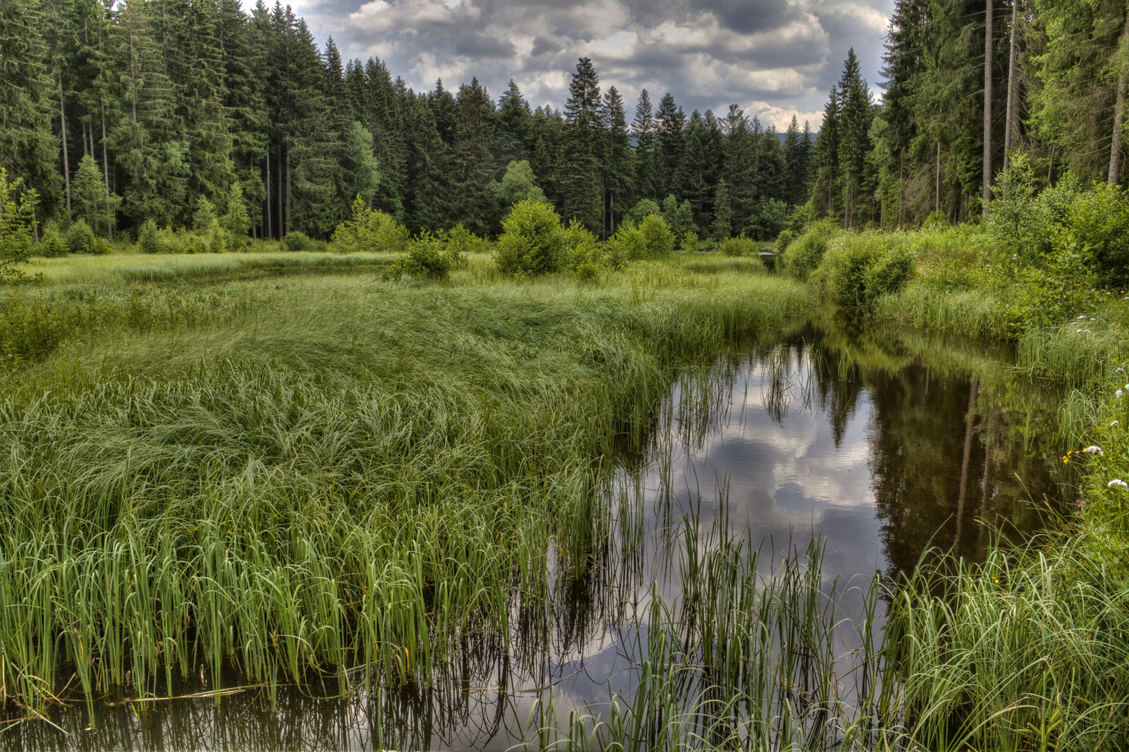 Beim Eisweiher (Titisee)