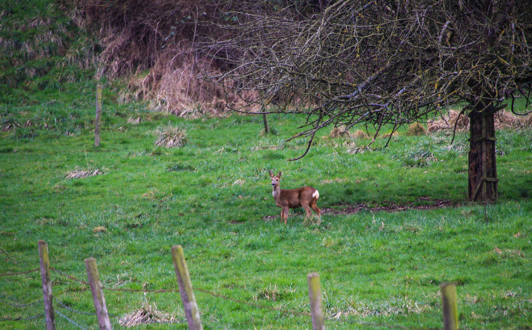 Beim Februarspaziergang...