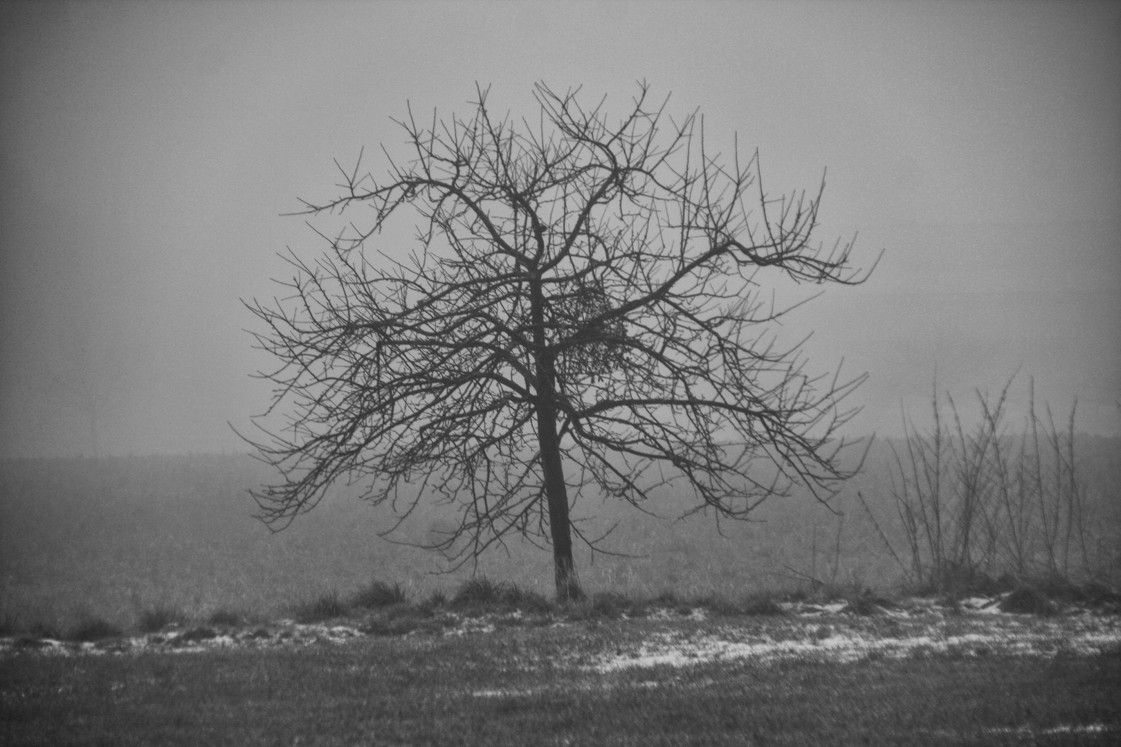 Beim Februarspaziergang V...