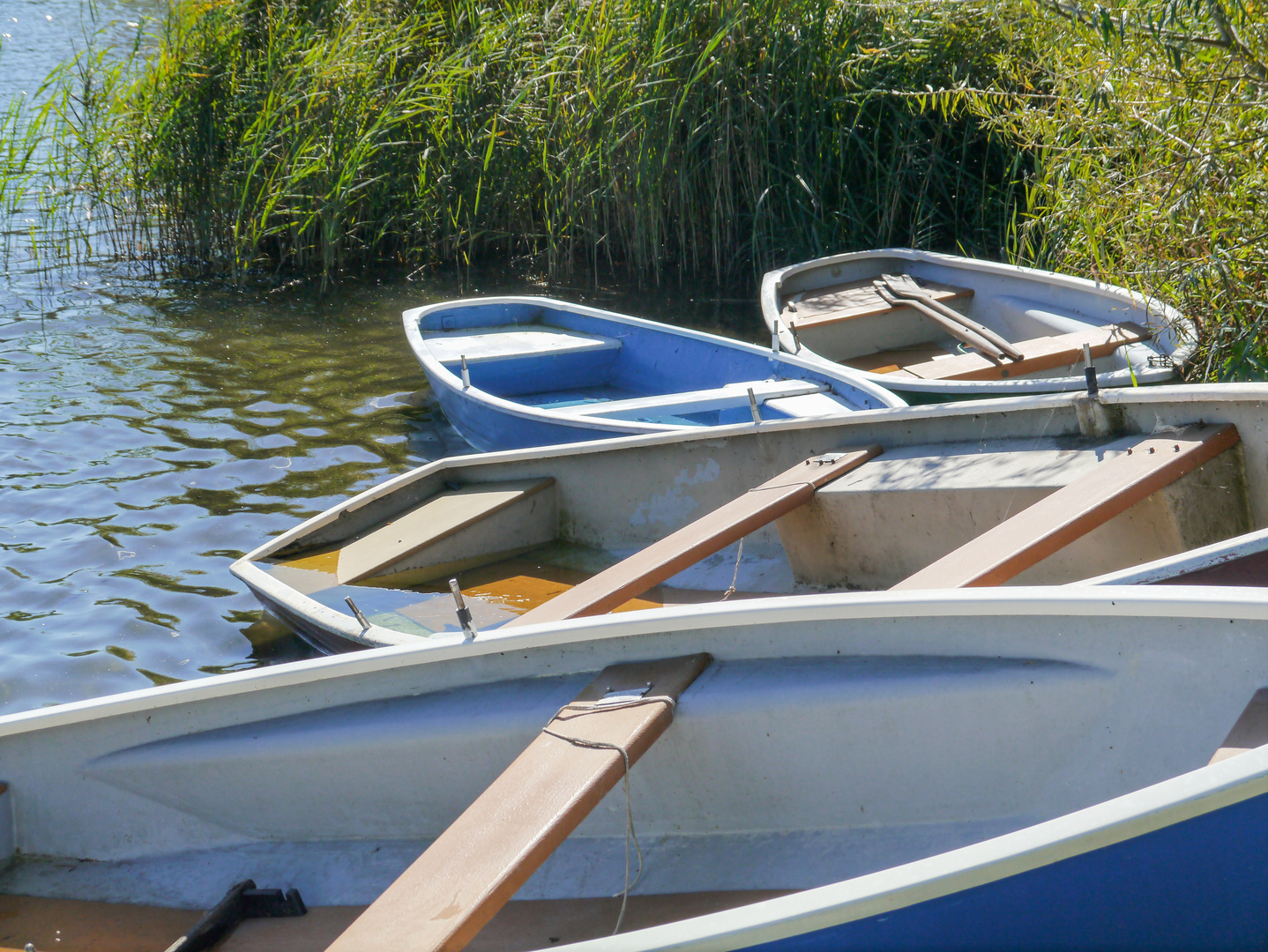 beim Fischer am See