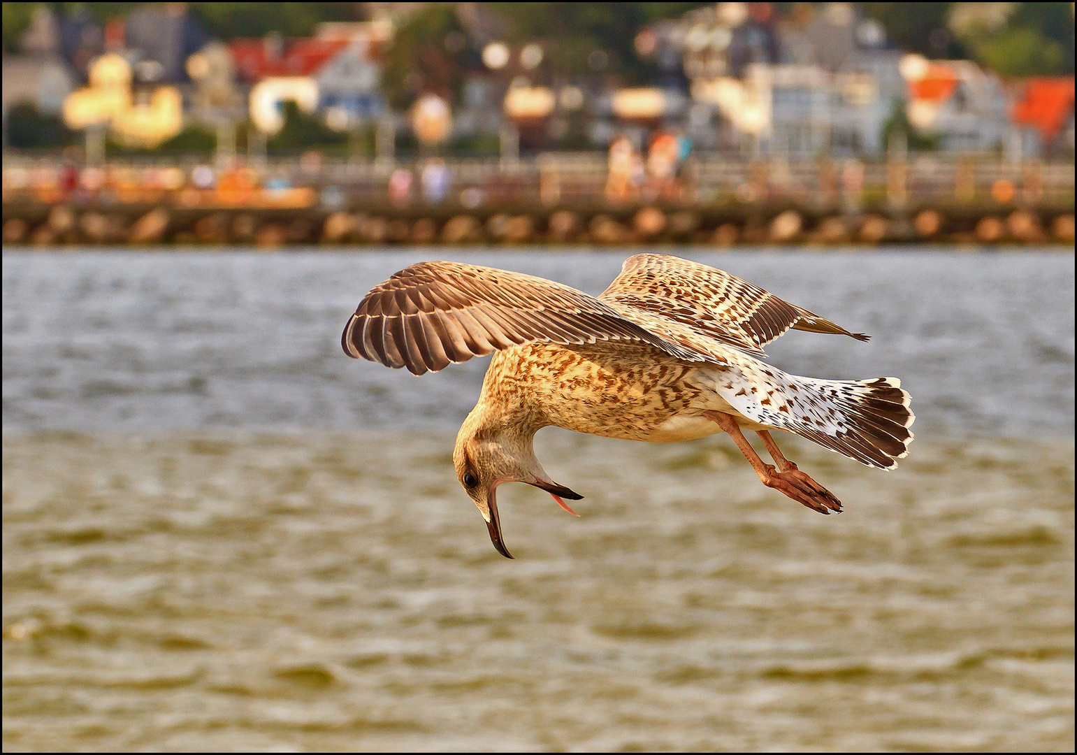 Beim Fischfang