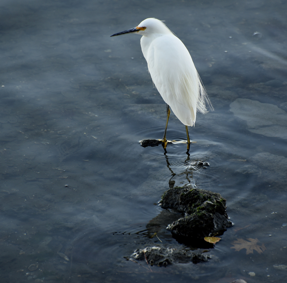 Beim Fischfang