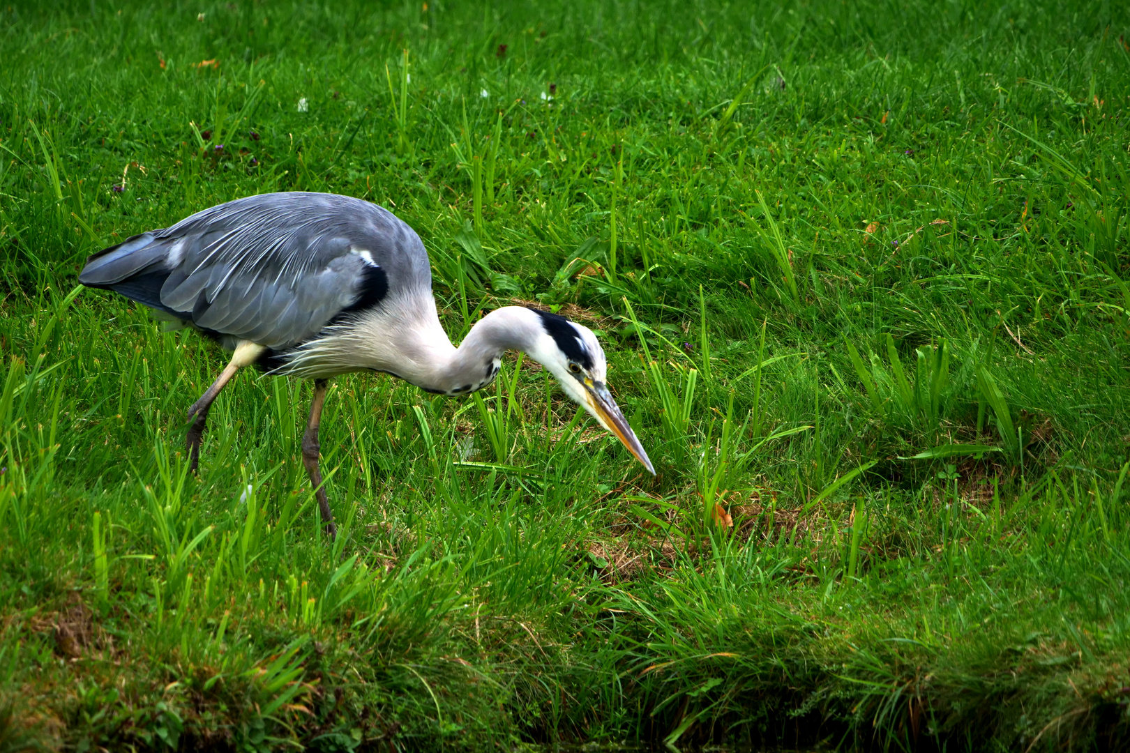 Beim Fischfang