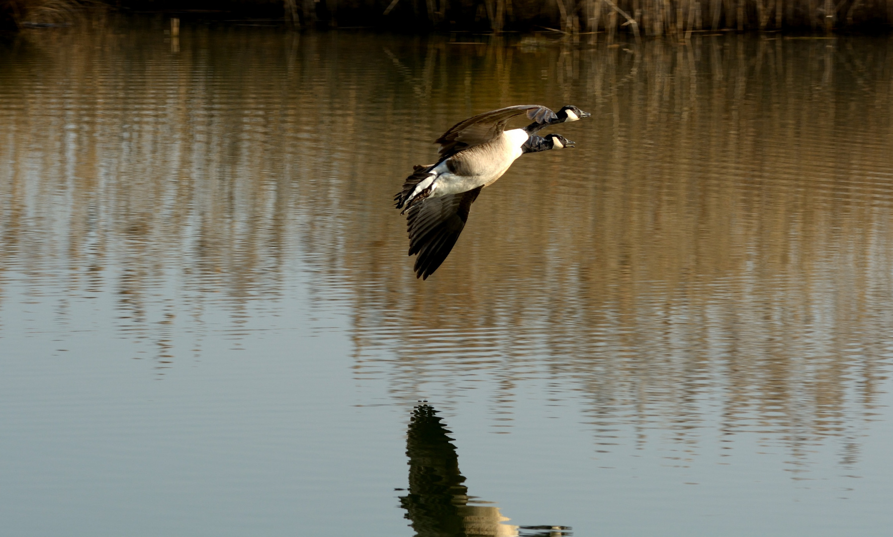 Beim Flug