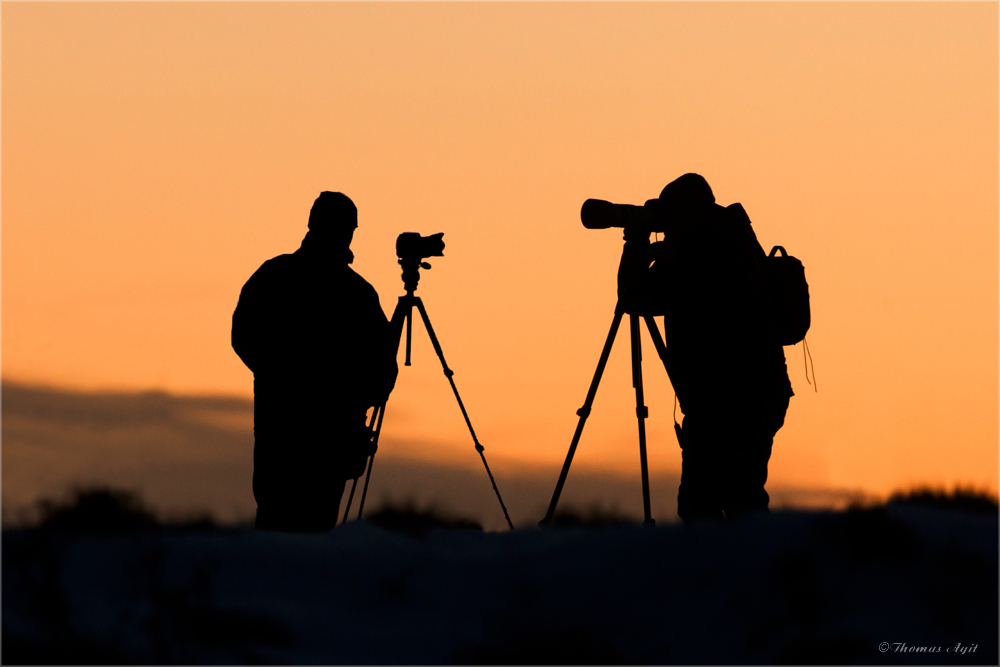 beim Fotografen...