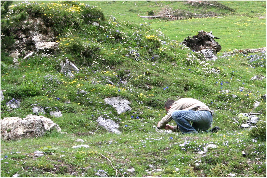 Beim Fotografieren fotorafiert